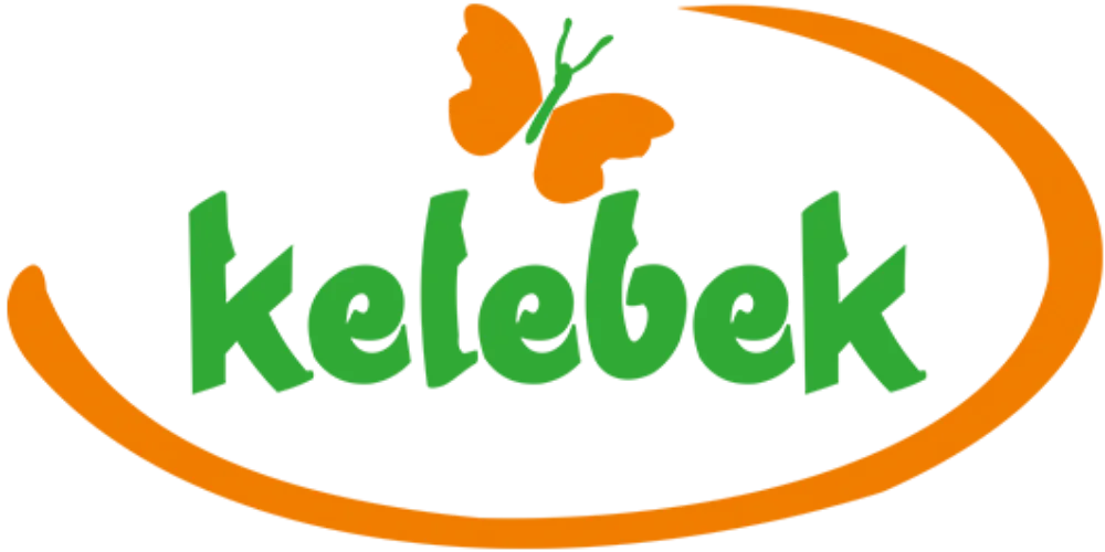 Uluslararası Havaalanı Logo